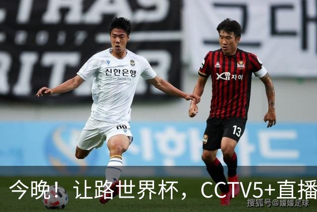 今晚！让路世界杯，CCTV5+直播中国女排VS法国，小将领衔冲击5连胜