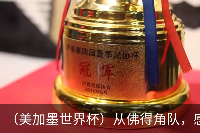 （美加墨世界杯）从佛得角队，感受足球的动人